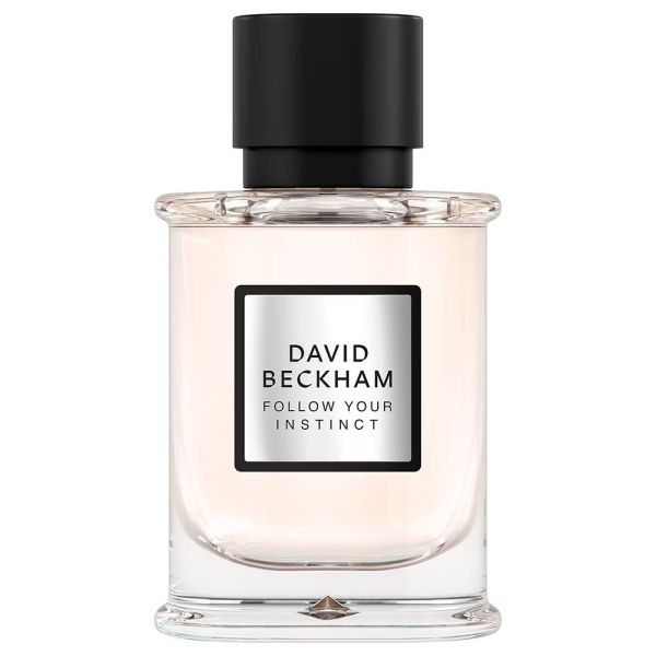 David beckham follow your instinct woda perfumowana spray 50ml